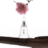 情人节礼物 春风十里雨中山茶山茶花香味香水持久淡香高级礼物