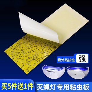 灭蝇纸粘捕式灭蚊灯粘蝇粘虫板粘贴灭蝇灯诱虫专用粘纸苍蝇纸纸板