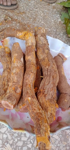 中药材正品黄藤根紫金皮雷公藤根山海棠根火把花根掉毛草紫金藤