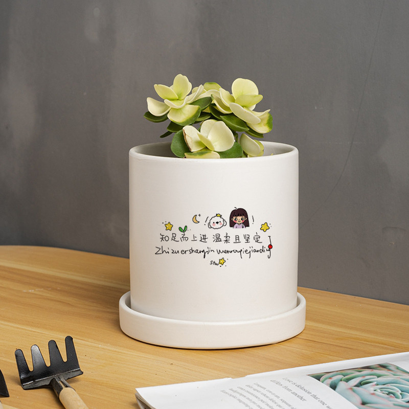 陶瓷花盆ins多创意新款肉盆栽绿植发财树吊兰带托盘室内桌面北欧,鲜花速递/花卉仿真/绿植园艺,花盆,淘宝优惠券,粉丝福利购,淘宝优惠卷