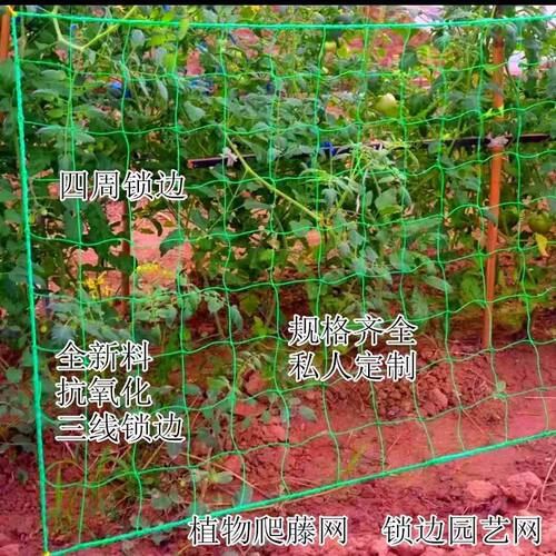 攀爬网搭架植物新型爬藤网