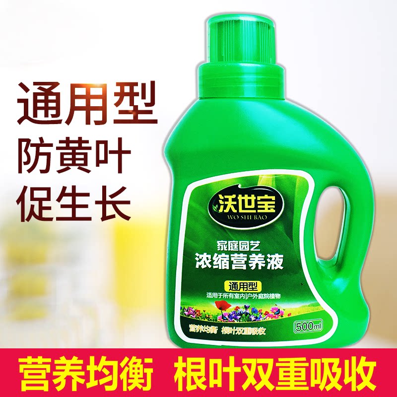 富贵竹水养多肉植物绿箩通用营养液叶子发黄观音竹绿萝水竹金钱树