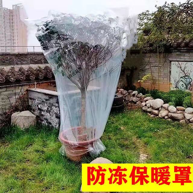 冬季植物防寒透明防尘保温罩