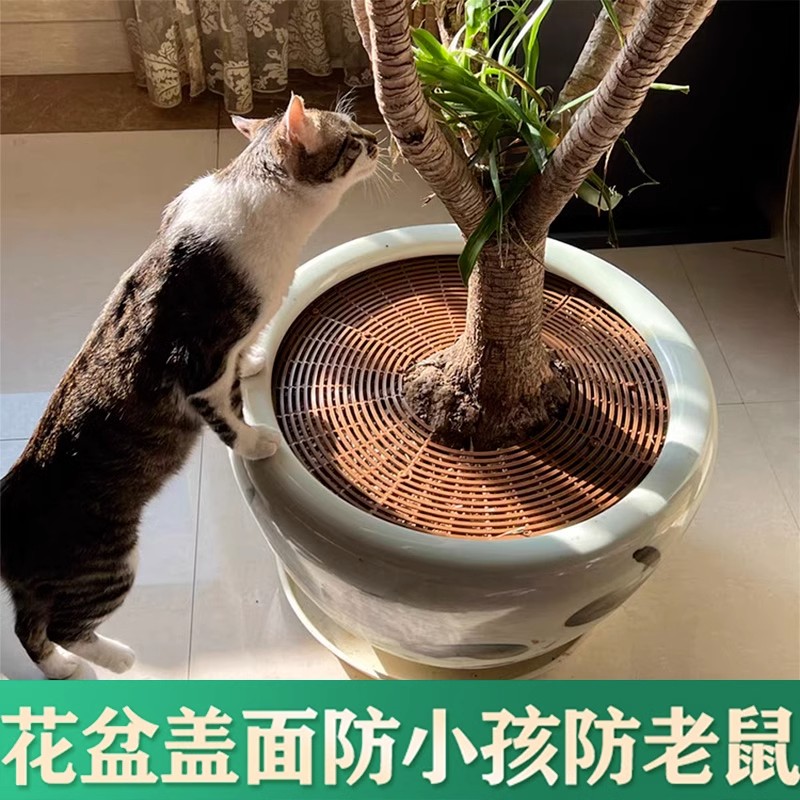 花盆保护罩防猫抓扒盖板花盆防护罩网罩套植物保护固土镂空盖子 鲜花速递/花卉仿真/绿植园艺 其它园艺用品 原图主图