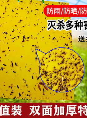 批捕纸板蔬菜大棚飞虱白粉虱粘虫板果园药笼果蔬黄色板防虫贴药贴