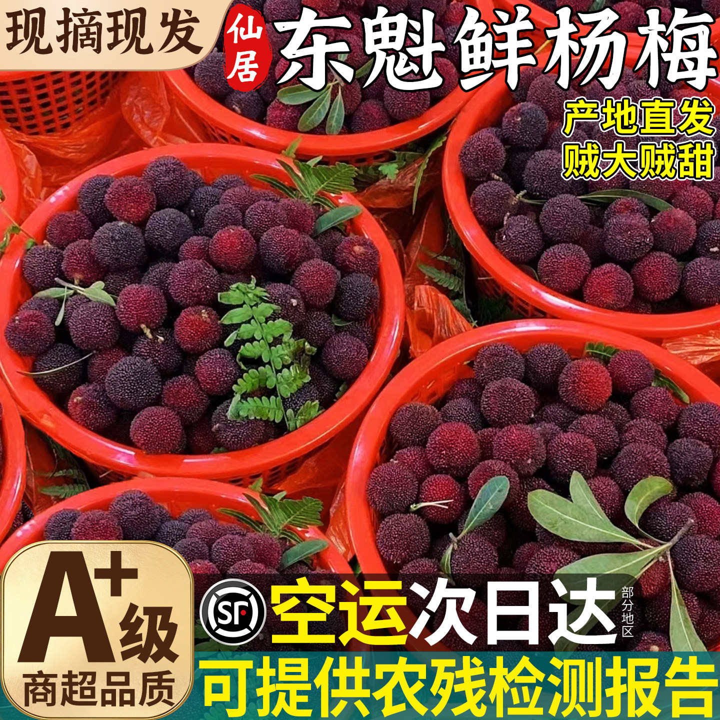 不打糖！不打药！顺丰仙居鲜杨梅