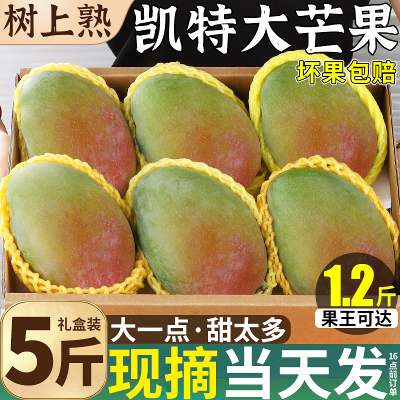 5斤礼盒 四川攀枝花凯特芒芒果当季超大现摘现发新鲜水果整箱包邮