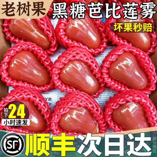 超大果礼盒！顺丰精品黑糖芭比！