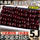 包邮 空运桑提娜车厘子应季 新鲜水果5斤礼盒智利进口樱桃孕妇整箱