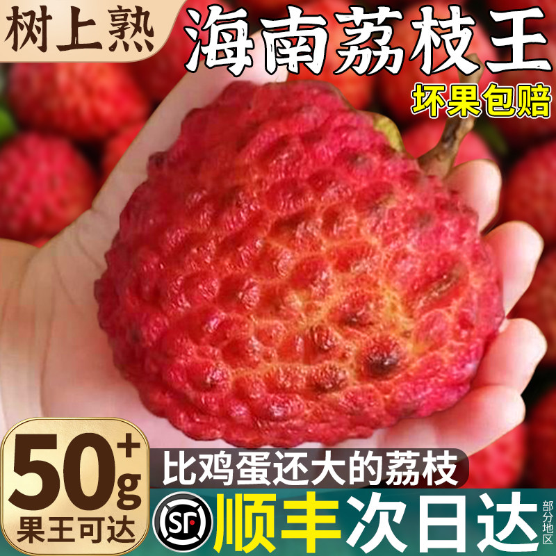顺丰5斤礼盒正宗海南荔枝王荔枝新鲜现摘现发水果当季整箱包邮