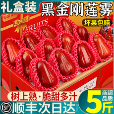 顺丰礼盒丨正宗海南黑金刚莲雾
