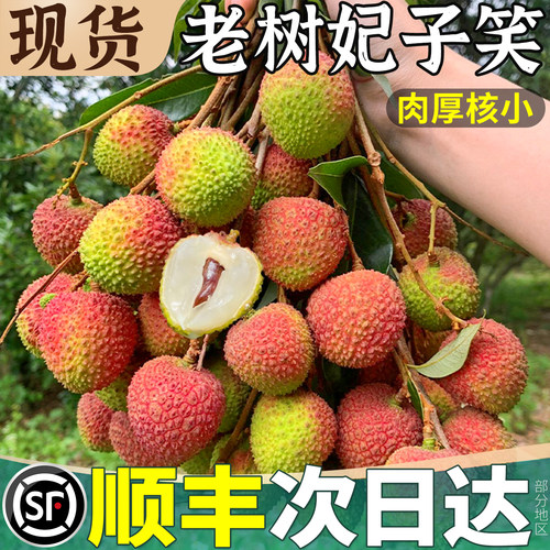 顺丰次日达丨海南妃子笑荔枝