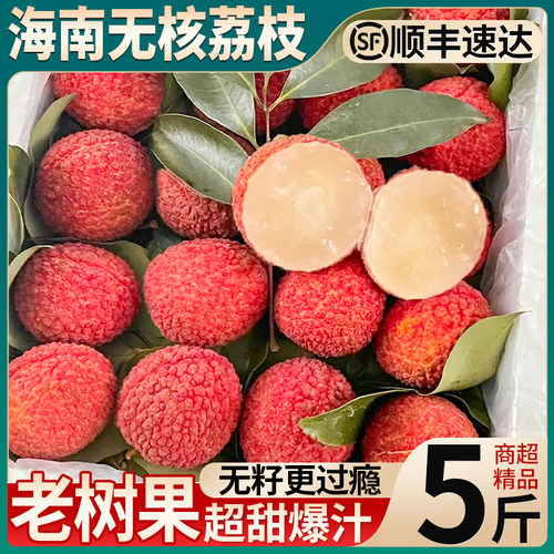 顺丰高端品种丨海南无核荔枝5斤