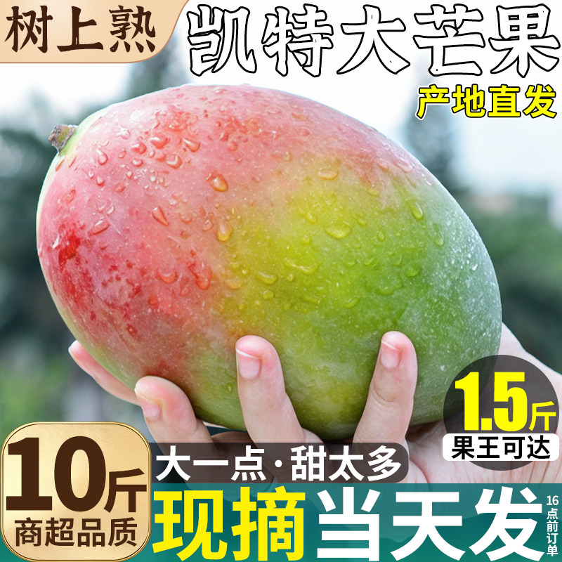 10斤正宗凯特芒超大芒果新鲜水果当季现摘青皮甜心澳芒整箱包邮