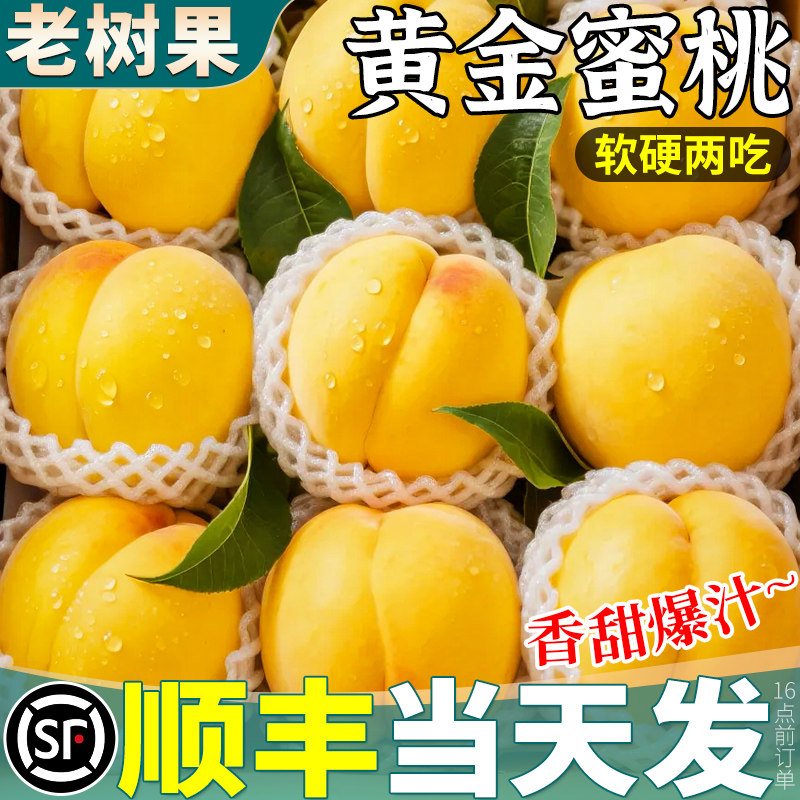 顺丰蒙阴黄桃5斤桃子新鲜水果油毛整箱孕妇时令当季大果蜜桃脆桃