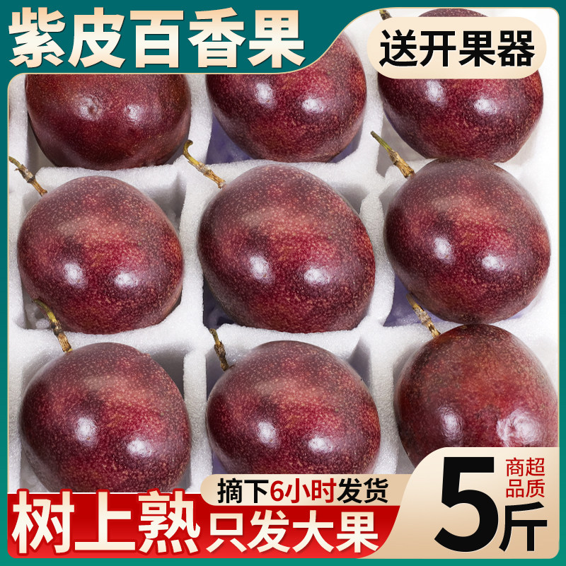现货广西紫皮百香果包邮5斤大果新鲜水果孕妇一级黄金果原浆紫皮9
