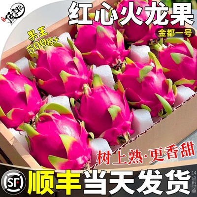 顺丰当天发丨红心火龙果甜！大！