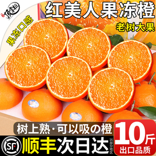 顺丰礼盒红美人果冻橙橘子新鲜水果10斤柑橘桔子大果当季整箱包邮
