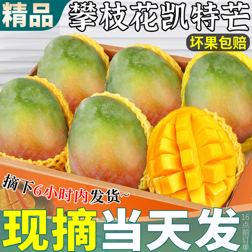 树上熟丨坏果包赔丨当天发