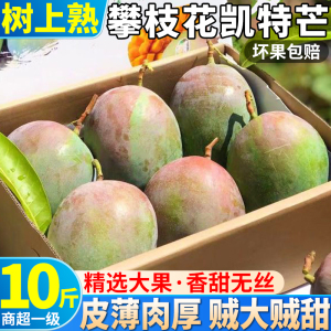 特大果 四川攀枝花凯特芒果10斤新鲜水果青皮大当季热带整箱包邮9