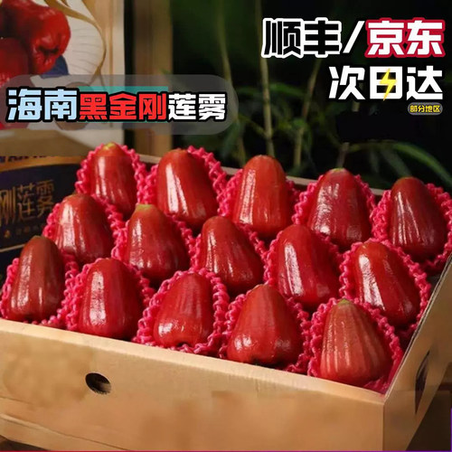 顺丰包邮 5斤海南黑金刚莲雾水果新鲜特大果一级当季整箱现摘现发