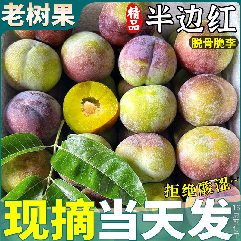 现货|四川茵红李子|脆甜