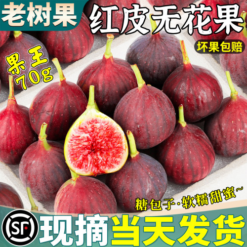 顺丰丨纯甜糖包子丨红皮无花果
