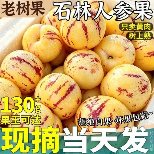 拒绝白果丨不甜包赔丨鲜甜多汁