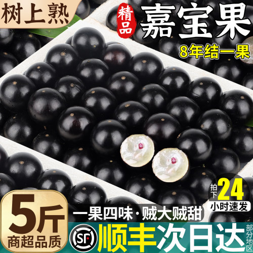 顺丰次日达丨珍稀嘉宝果超大超甜