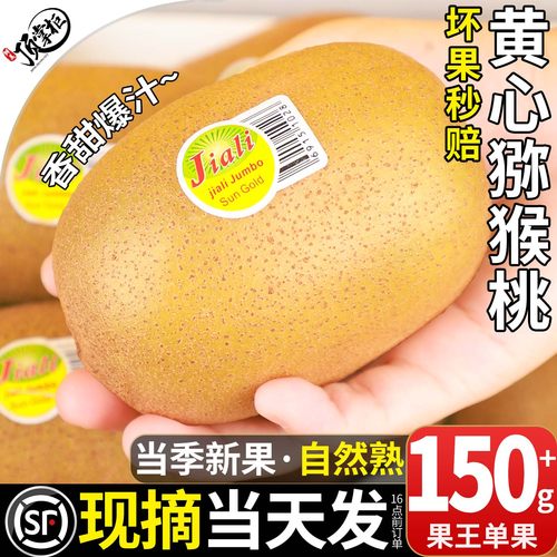 现摘当天发丨精品黄心猕猴桃香甜
