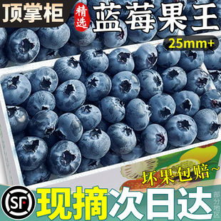 正宗云南花香蓝莓新鲜水果特大果12盒当季整箱鲜果怡颗鲜莓包邮甜