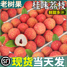 顺丰特大果 5斤广东桂味荔枝新鲜现摘大果当季孕妇整箱包邮增甜城