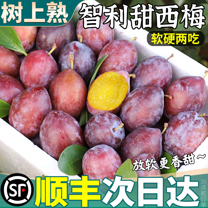 顺丰包邮 智利进口西梅5斤李子新鲜水果蜂糖脆特大果当季整箱孕妇