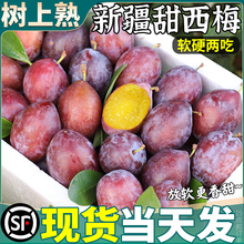 顺丰正宗新疆西梅5斤李子新鲜水果蜂糖脆特大果当季整箱包邮孕妇