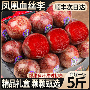 纯甜 顺丰礼盒5斤凤凰李血丝李新鲜李子水果智利三华红心不打烊