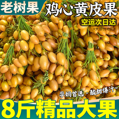 空运次日达丨8斤大果鸡心黄皮果