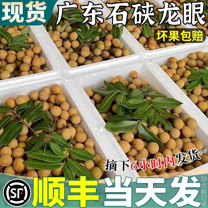 顺丰次日达|老树大果|不甜包赔