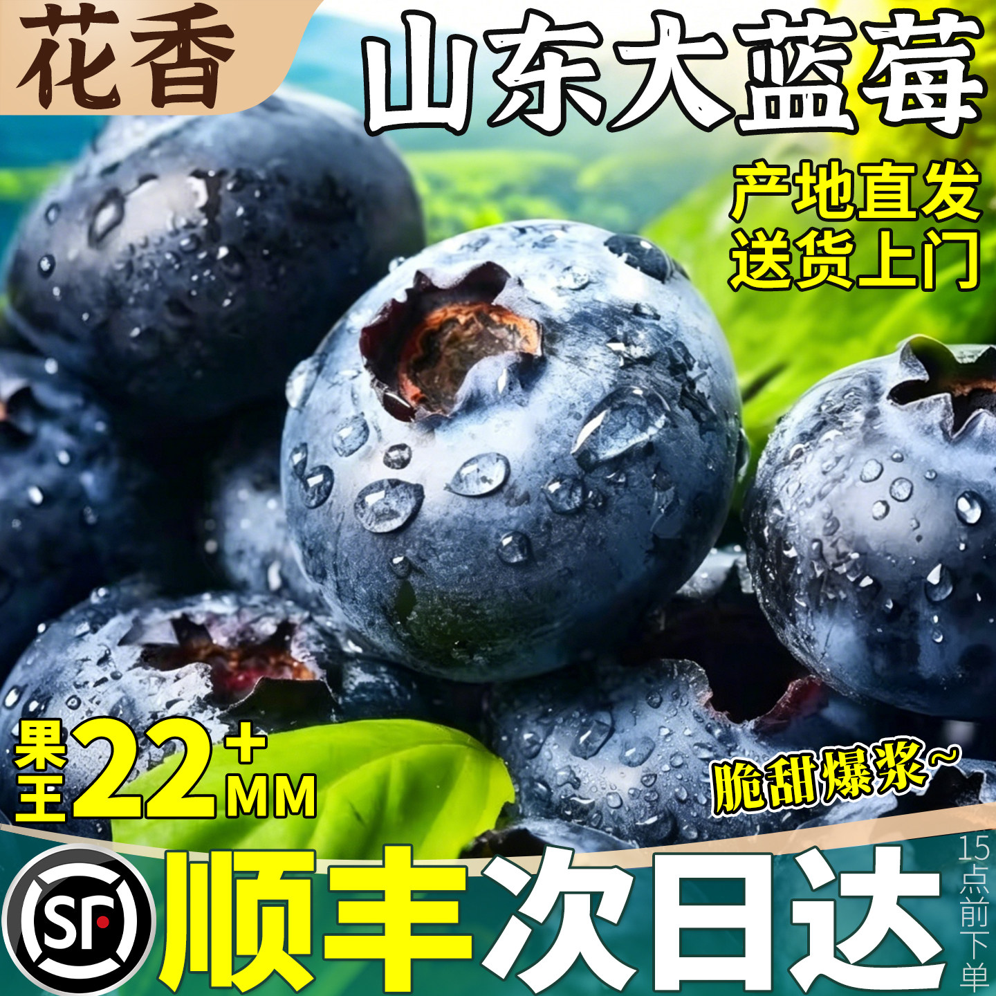顺丰山东高山花香蓝莓新鲜水果整箱包邮非佳沃怡颗特大果当季浆果