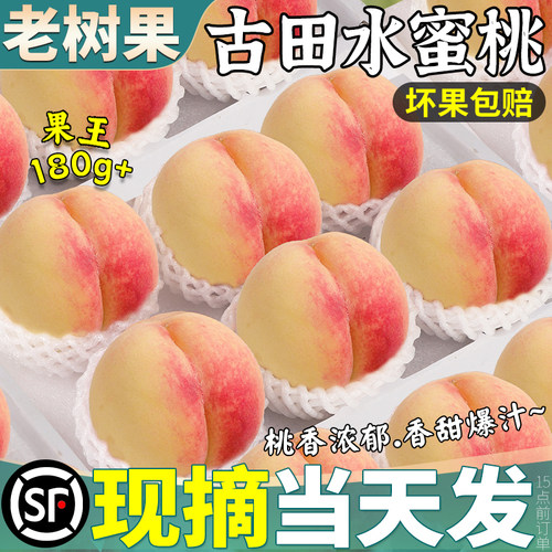 顺丰次日达丨正宗古田水蜜桃