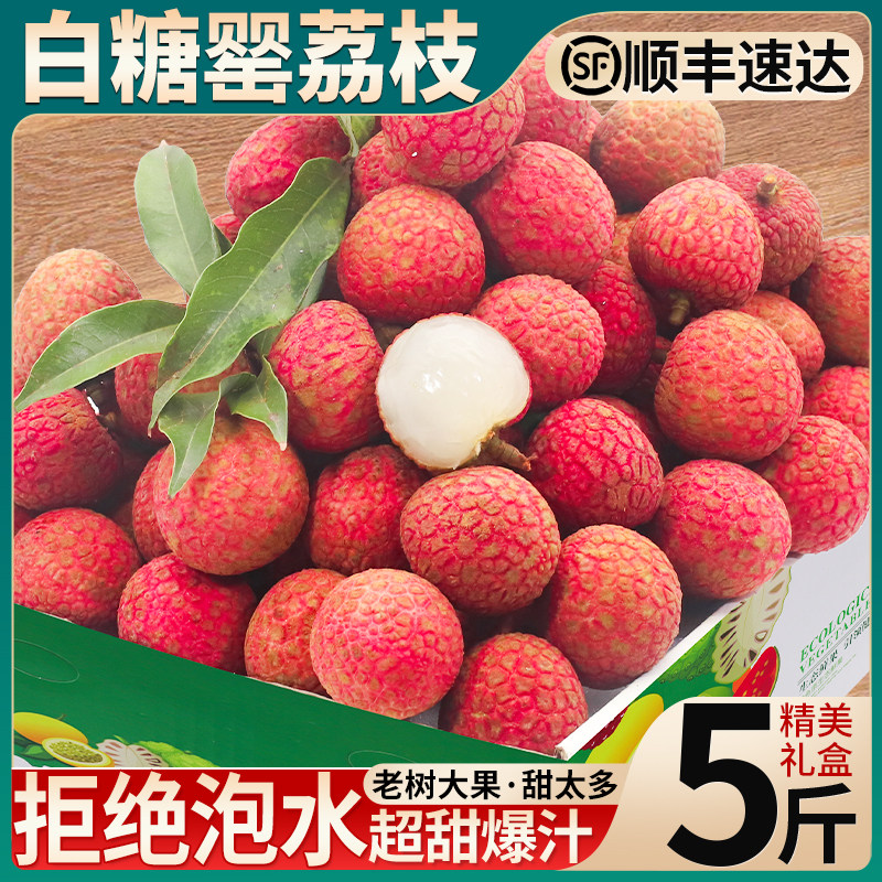 顺丰包邮|5斤礼盒大果白糖罂荔枝