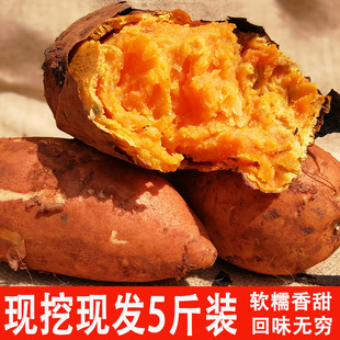 云南新鲜红薯黄金蜜薯地瓜板栗薯新鲜黄心红薯糖心甜番薯现挖5斤