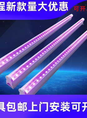 LED紫光灯管KTV酒吧舞台T5灯管LED紫外线荧光剂检测UV紫光灯工厂