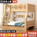 实木上下床双层床成人隔断上下铺高低床姐弟互不干扰儿童床子母床