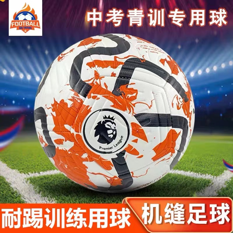 欧洲杯赛事新款英超5号足球 成人训练耐磨34号PU贴皮足球儿童