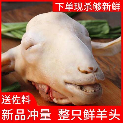 羊头整只生新鲜带皮羊头肉鲜羊脸肉山羊头羊蹄羊杂包邮商用