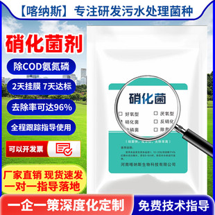 硝化菌和反硝化菌水产养殖和污水处理降氨氮降亚硝酸盐降总氮