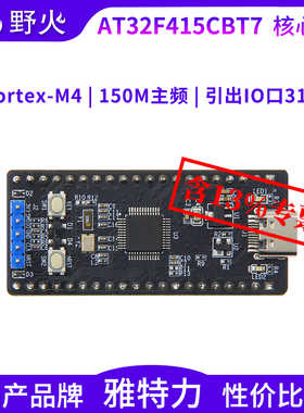 野火AT32F415CBT7核心板 最小系统板 M4核 国产品牌雅特力 M4内核