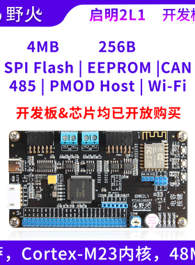 野火RA2L1开发板 ARM开发板 瑞萨R7FA2L1AB3CFP,RENESAS RA单片机