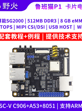 野火鲁板猫P1卡片电脑算能SG2000开发板Linux学习RISC-V C906 ARM