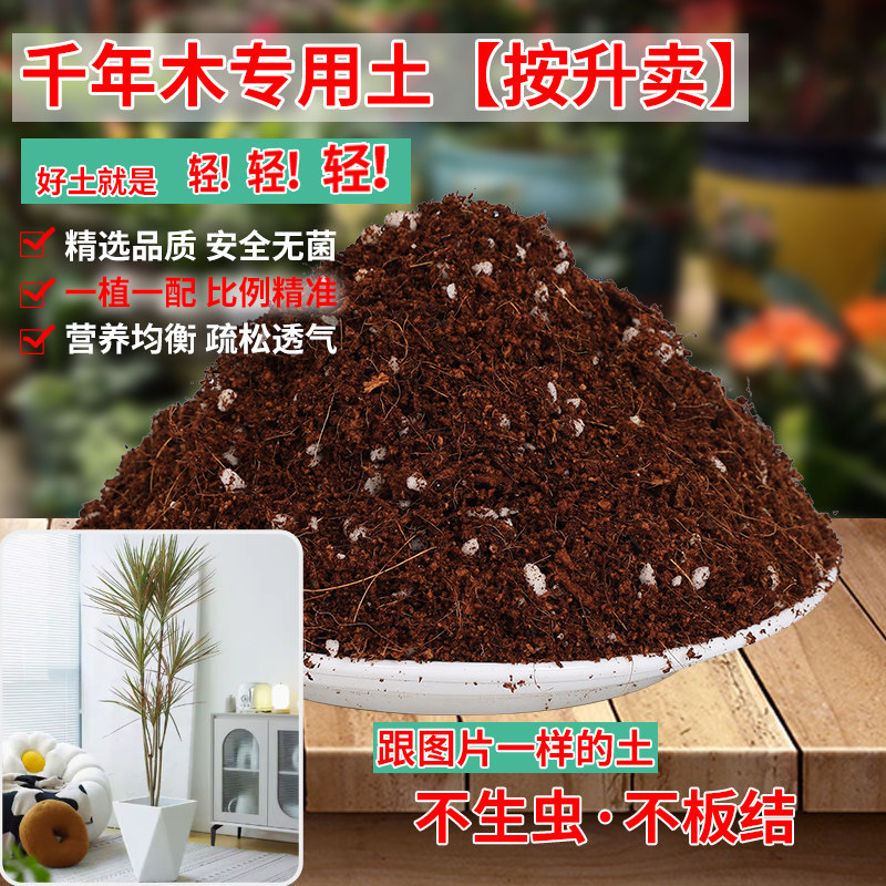 千年木专用土七彩铁培植土老桩马尾铁大型绿植通用型营养土花卉土